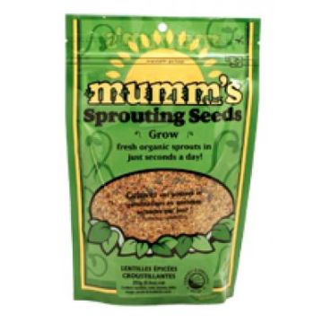 Organic Spicy Lentils seeds