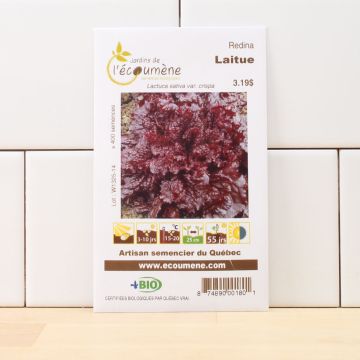 Organic lettuces - Redina  