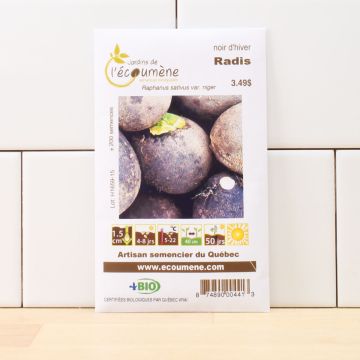 Organic radishes - Winter black radish