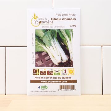 Vegetables organic -  Chinese cabbage Pak-choï prize