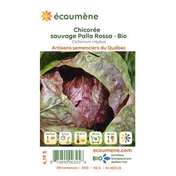 Organic seeds - Wild chicory palla rossa