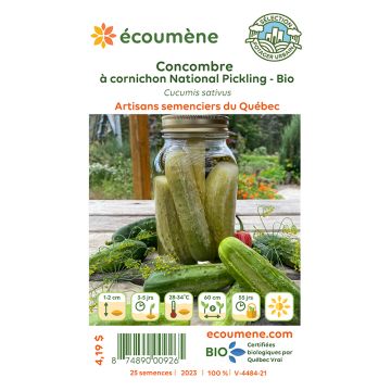 Organic vegetables - Pickle cucumber National pick