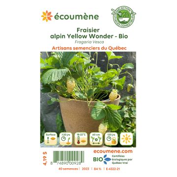 Organic seeds - Yellow wonder alpine strawberry