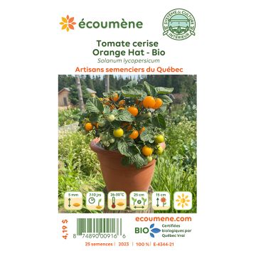 Organic seeds - Orange hat cherry tomato