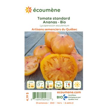 Organic seeds - Standard pineapple tomato