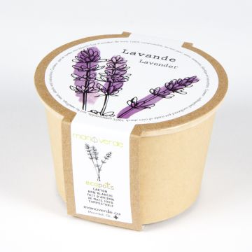 Minipot - Lavender compostable pot