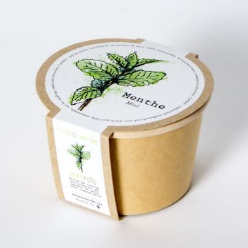 Minipot - Mint compostable pot