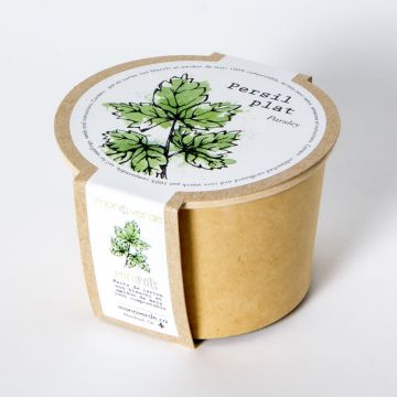 Minipot - Flat leaf parsley compostable pot