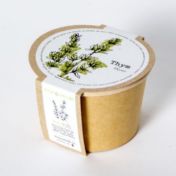 Minipot - Compostable thyme pot