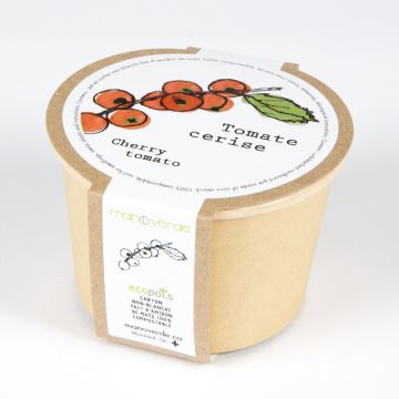 Minipot - Cherry tomato compostable pot