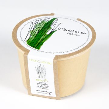 Minipot - Compostable chives pot