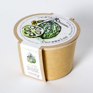 Minipot - Cucamelon compostable pot