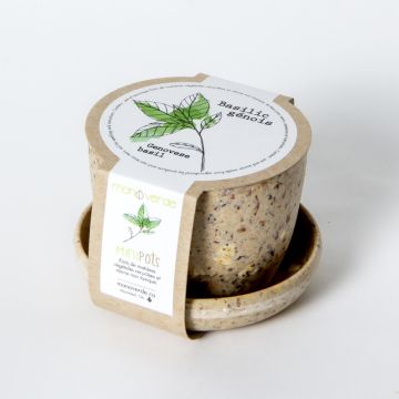 Minipot - Genovese basil coffee fiber pot