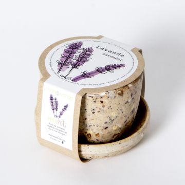 Minipot - Lavender coffee fiber pot