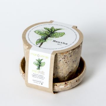 Minipot - Organic mint coffee fibers