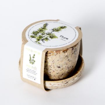 Minipot - Thyme pot fiber coffee