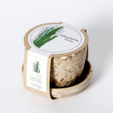 Minipot - Chives pot fiber coffee
