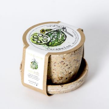 Minipot - Cucamelon coffee fiber pot