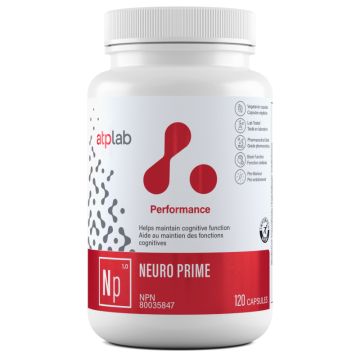 Neuro Prime - Cognitive Fonction
