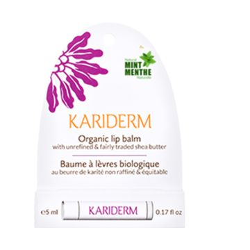 Organic Lip Balm - Mint