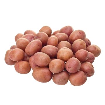 Pommes de terre rouges grelots biologiques 