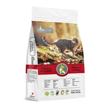 Natural cat food - Chicken and salmon