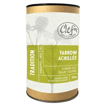 Plantes biologiques - Achillée fleur coupée