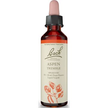 Original flower remedies - Aspen