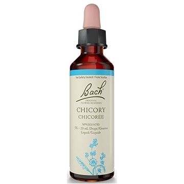 Original flower remedies - Chicory