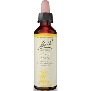 Original flower remedies - Gorse