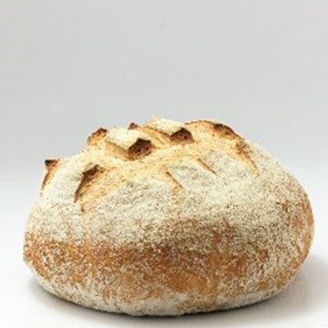 Pain biologique - Miche bis  