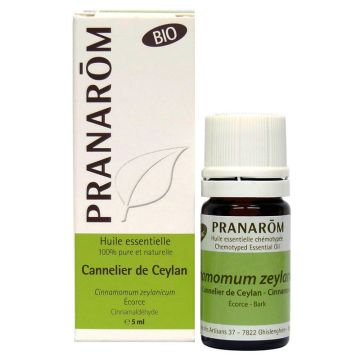 Essential oils - Cinnamon
