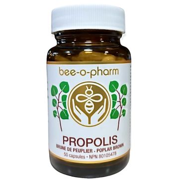 Propolis - Brune de Peuplier