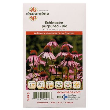 Herbaceous organic - Echinacea Purpurea