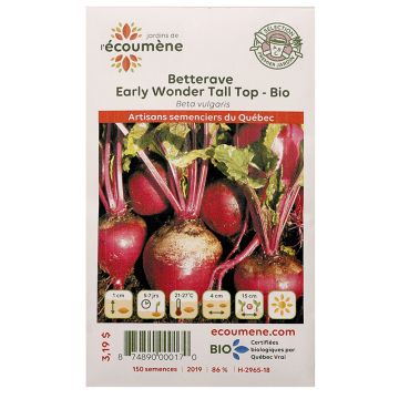 Organic Seeds -  Early Wonder Tall Top Beets