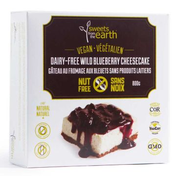 Vegan dairy free cheesecake - Wild blueberry nut free