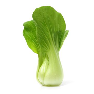 Organic Bok Choy