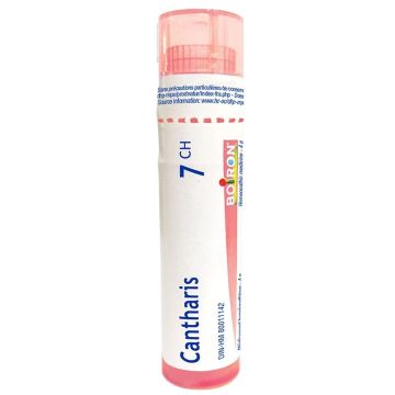 Homeopathic Medecine - Cantharis 7CH