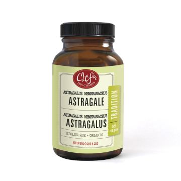 Tradition - Astragalus