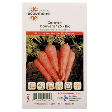 Vegetables organic -  Danvers 126 Carrots