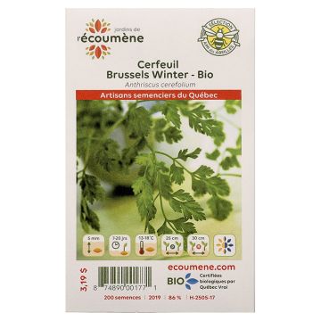 Herbaceous organic  -  Brussels Winter Chervil