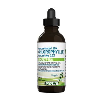 Chlorophyll - Concentrated 15X eucalyptus