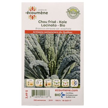 Vegetables organic - Kale Lacinato