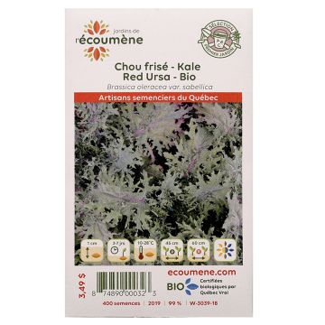 Vegetables organic -  Kale red ursa