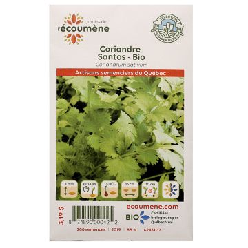 Organic seeds - Organic Santos Coriander