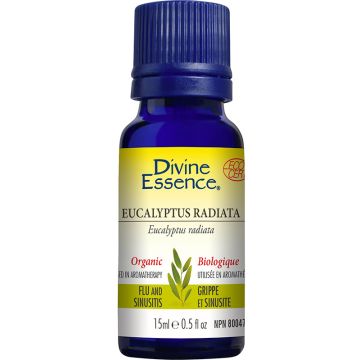 Organic Eucalyptus Radiata Eycalyptus Radiata Essential Oil - Flu and Sinus