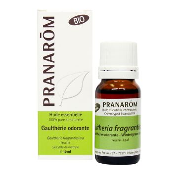 Essential Oil - Wintergreen India