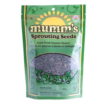Sprouting seeds - Sunflower