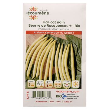 Vegetables organic -  Rocquencourt dwarf bean