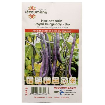 Vegetables organic -  Royal burgundy bean dwarf